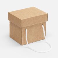 Коробка Kitbag, ver.2, крафт