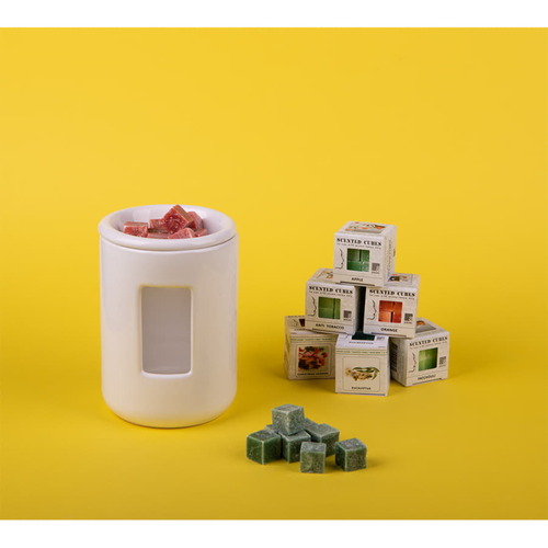 HG-32601/apple&cinnamon