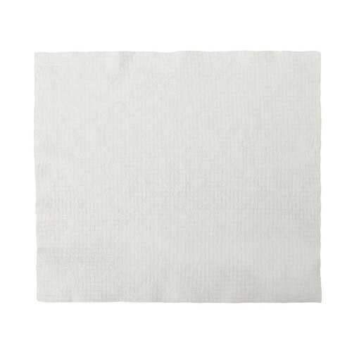 OA-100379