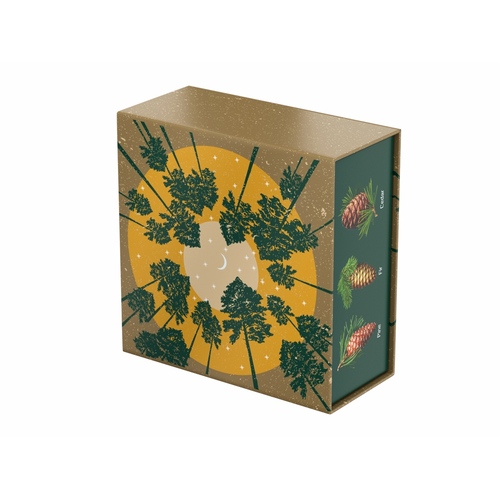 OA-700427p