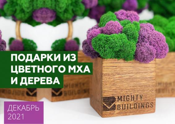 Презентация