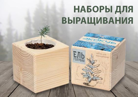 Наборы для выращивания