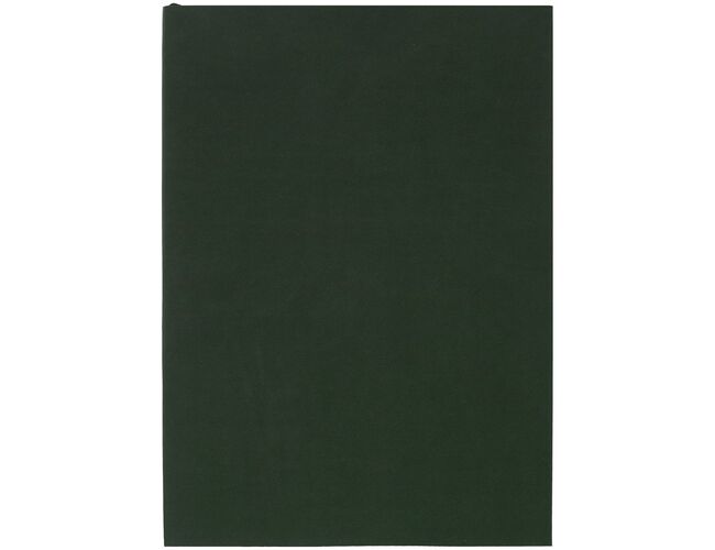 Ежедневник Flat Light, недатированный, зеленый