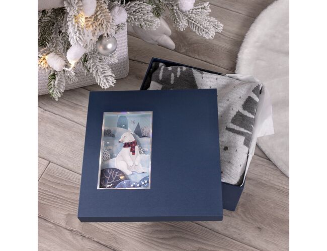 Коробка The Blue Bear, M