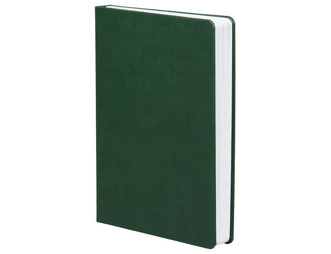 Ежедневник Basis, датированный, зеленый