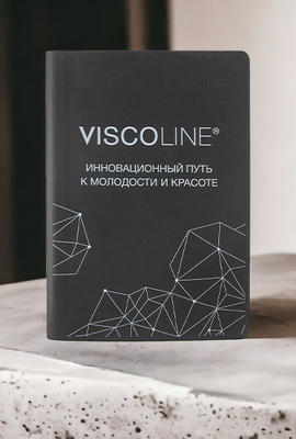 Ежедневник с логотипом компании VISCOLINE