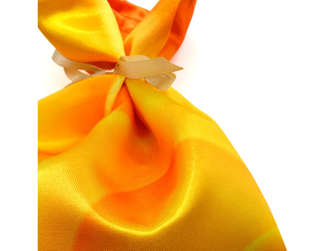 AR-300224-L-1520