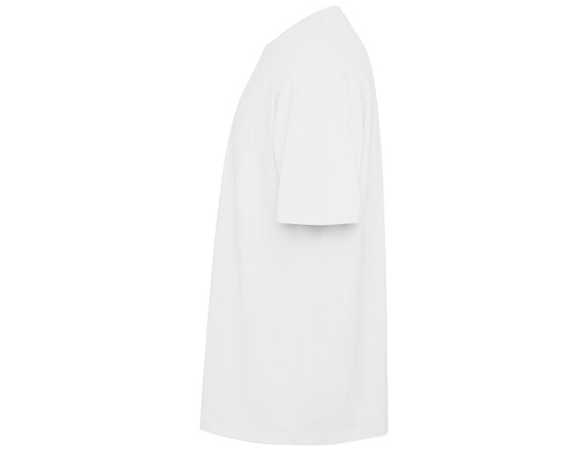 OA-6560CA01S