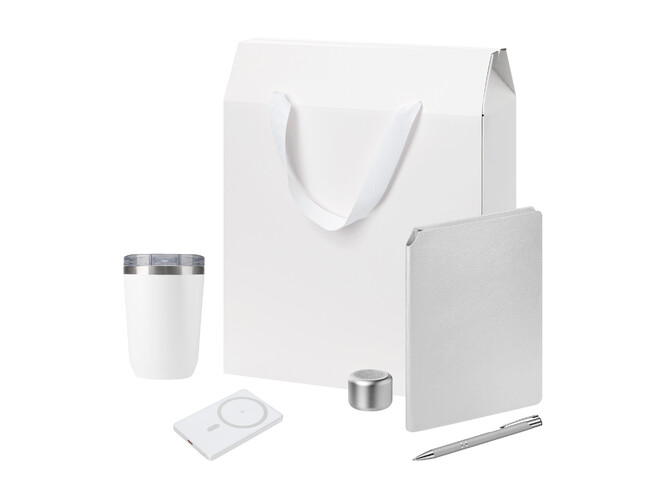 Подарочный набор Велком Пак Премиум (Welcome Pack Premium), серебряный (термокружка, колонка, ежедневник, ручка, ЗУ, коробка-пакет)