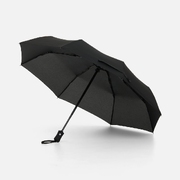 Зонт складной Monsoon, черный