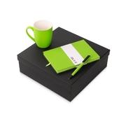 Подарочный набор «COLOR IT» c блокнотом, ручкой и кружкой, зеленое яблоко